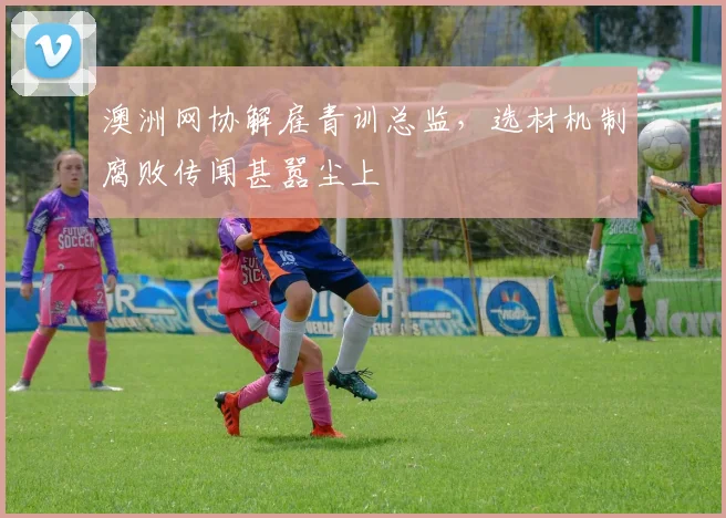 澳洲网协解雇青训总监，选材机制腐败传闻甚嚣尘上